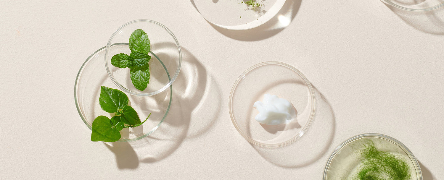 How to Read Hair Care Ingredient Lists & Avoid Damaging Ingredients