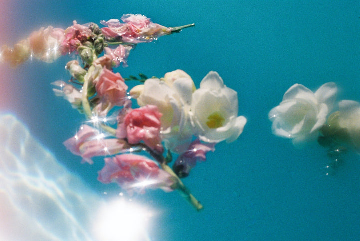 Flowers Floating in Water