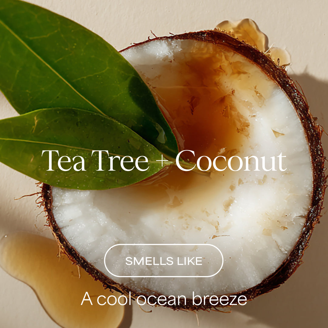 Coconut half with a tea tree leaf and text describing fragrance.