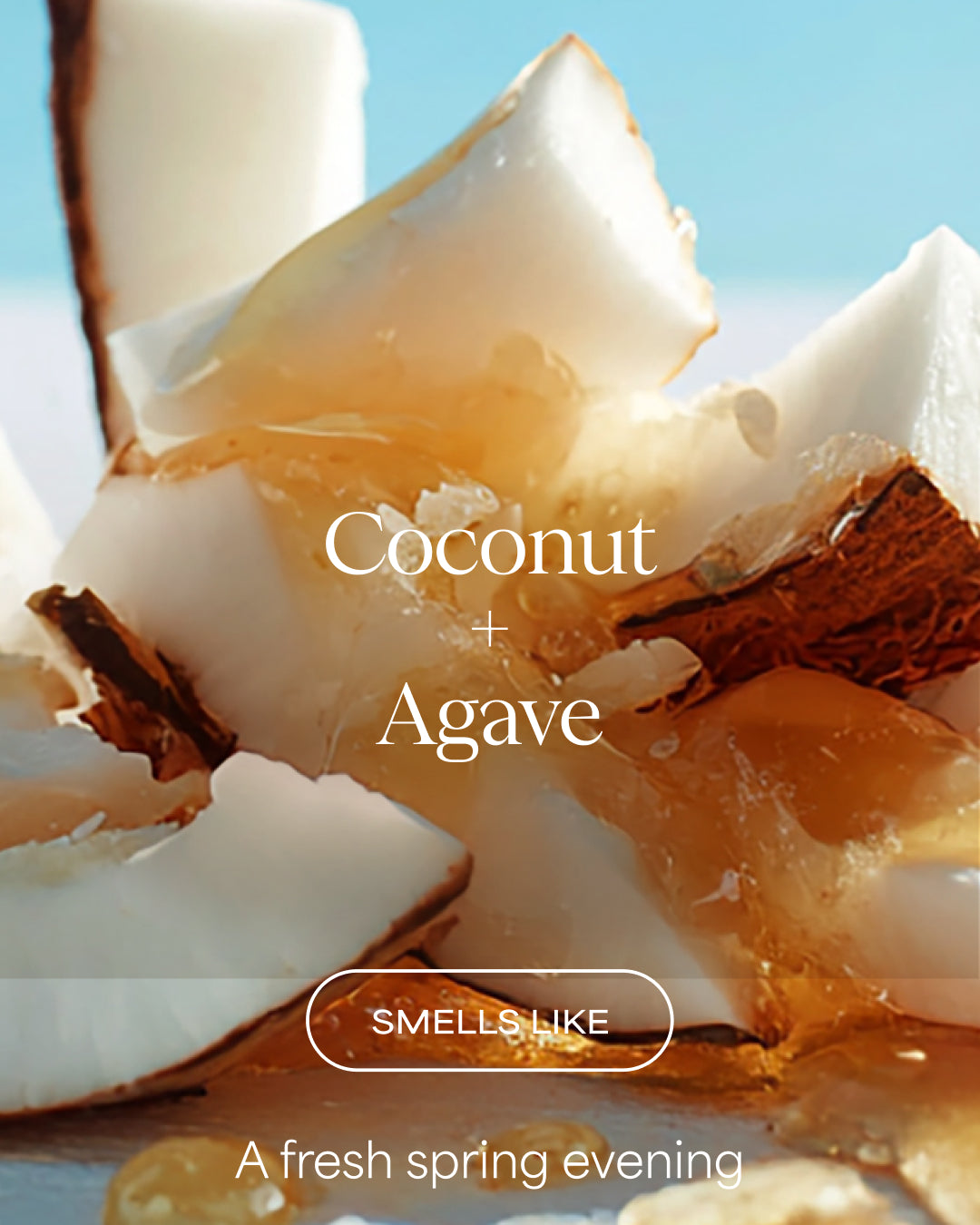 Coconut pieces with agave syrup on a light blue background, labeled 'Coconut + Agave'.
