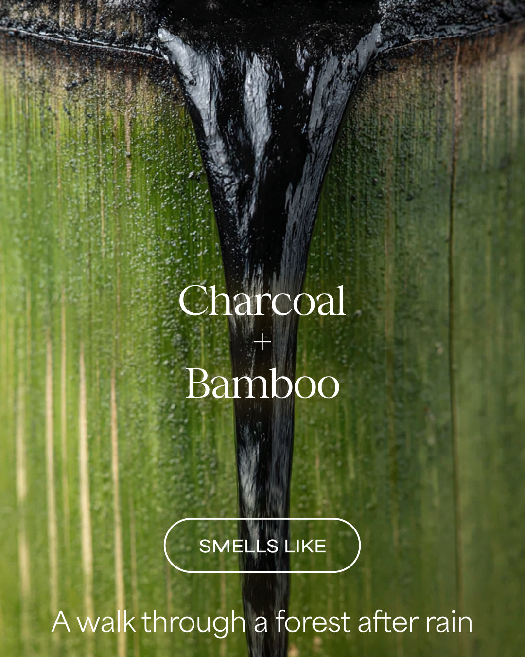 Close-up of a charcoal and bamboo product with text describing its scent for Raw Sugar Body Wash designed to help gently cleanse and hydrate skin with clean ingredients.