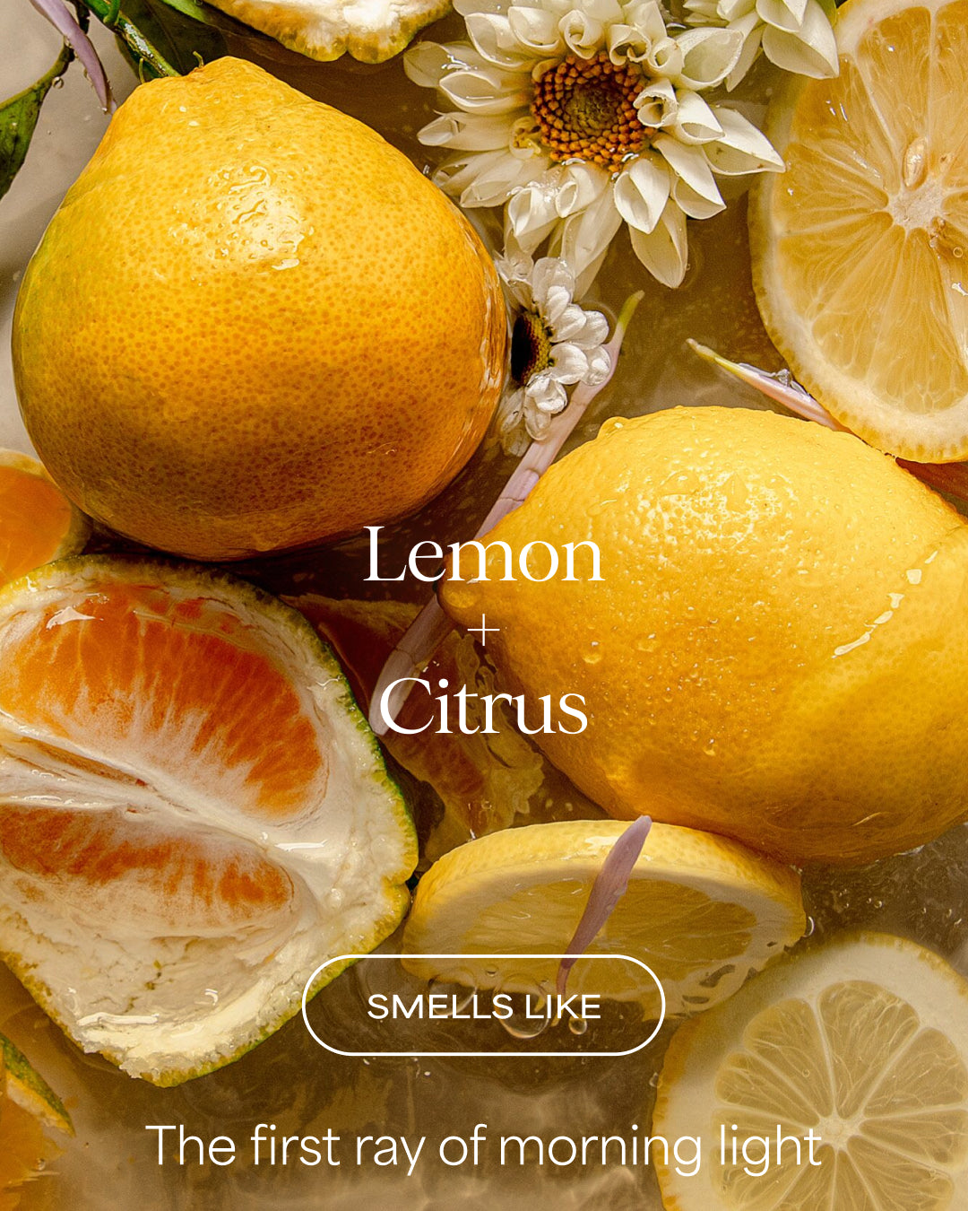 Close-up of lemons and oranges with text 'Lemon + Citrus' and 'Smells Like The first ray of morning light'.