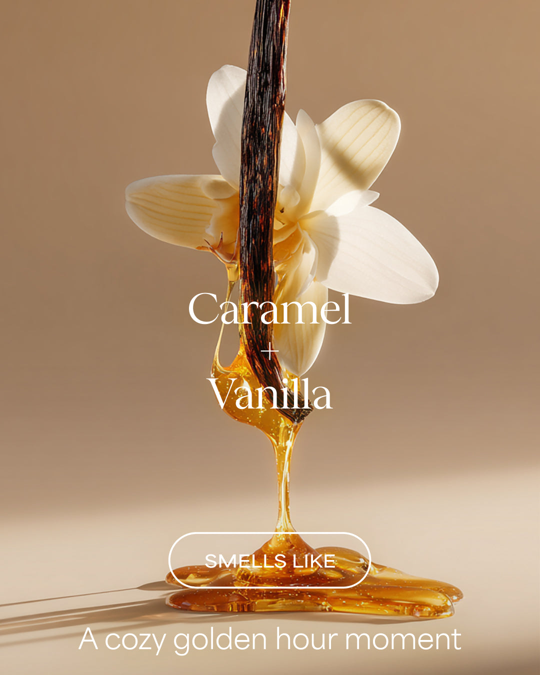Vanilla flower with caramel drizzle on a beige background, labeled 'Caramel Vanilla'. for Raw Sugar body wash