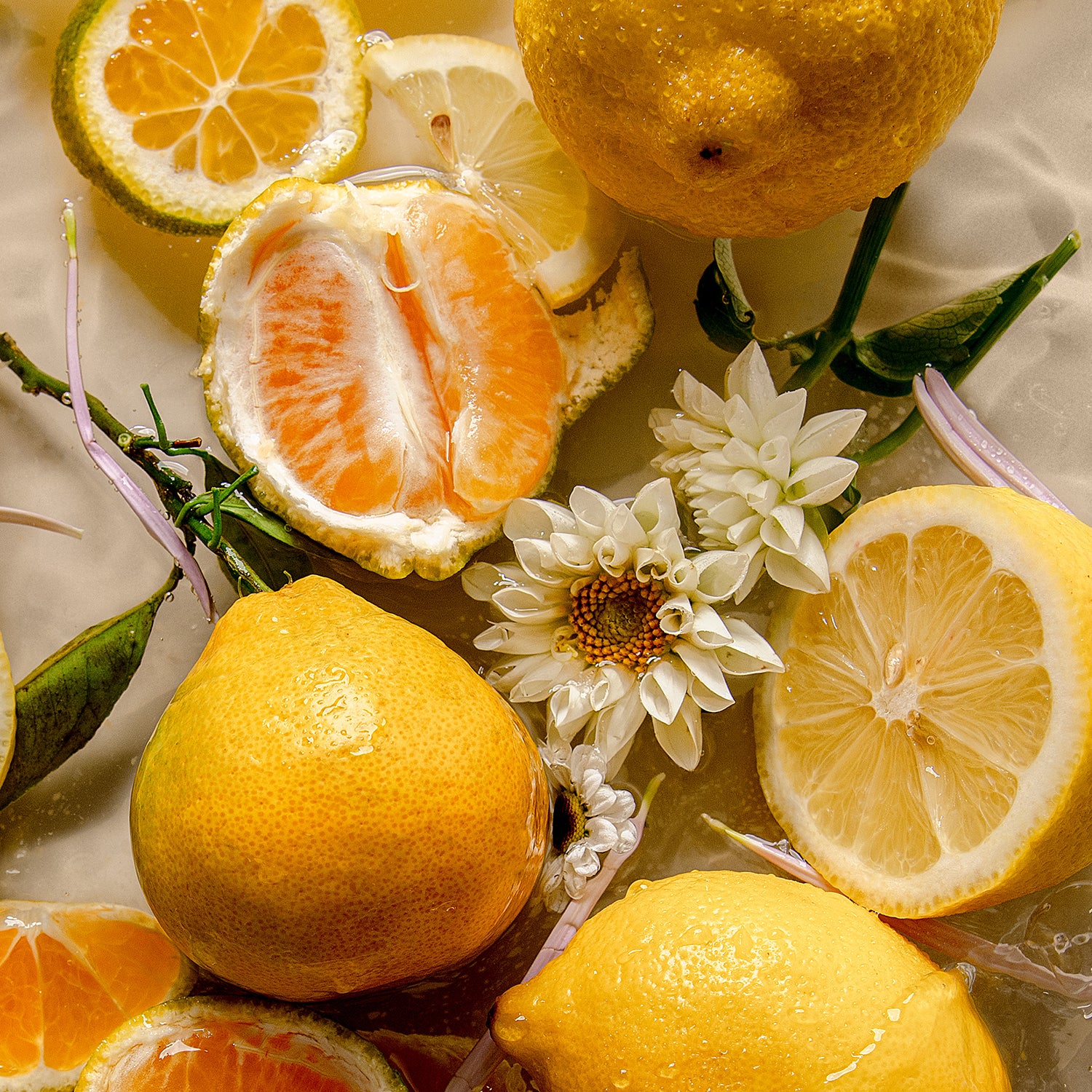 explore Raw Sugar fragrances and clean products