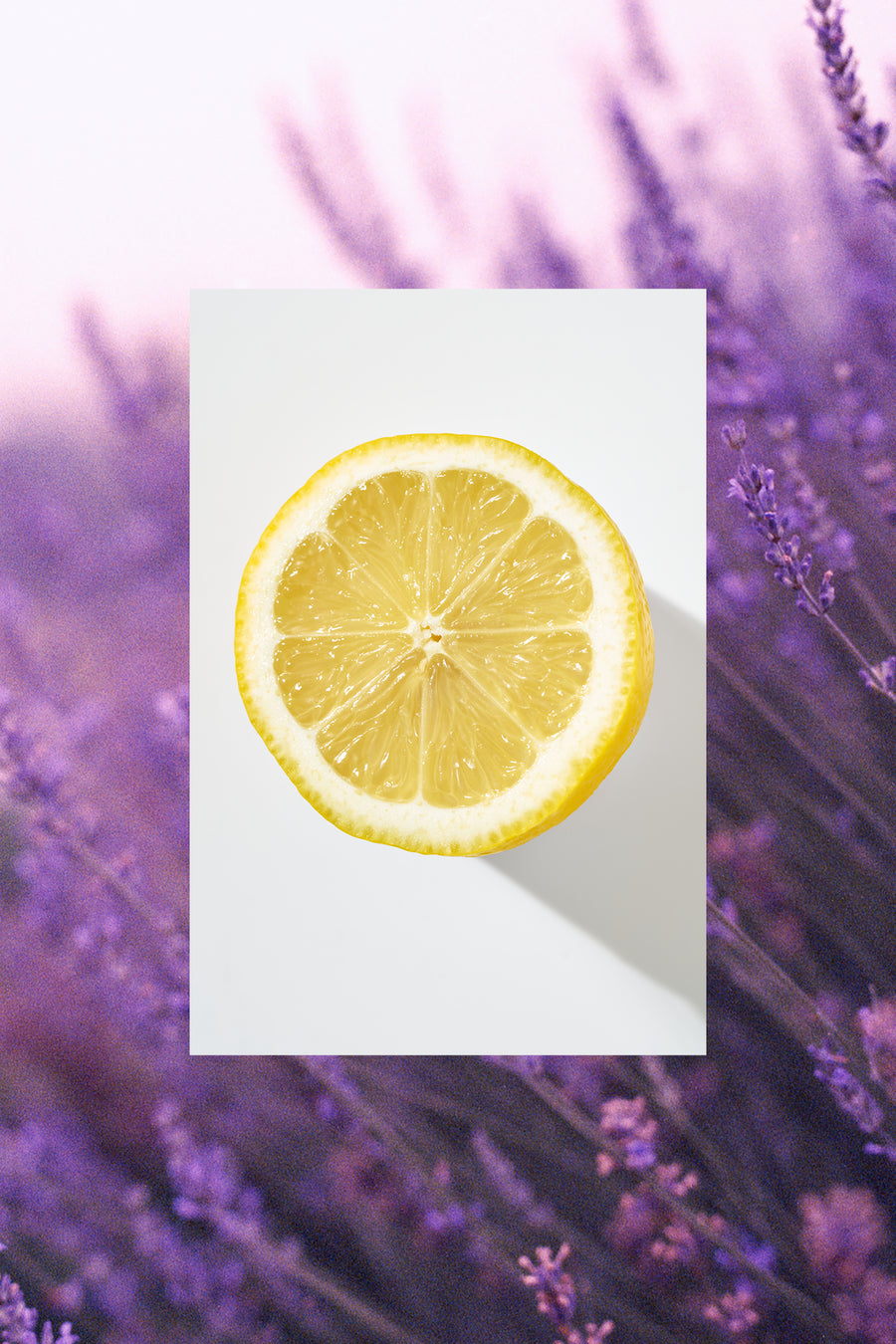 ingredient lavender and lemon