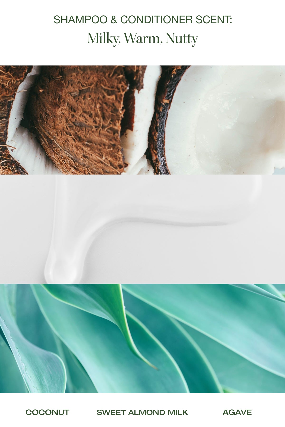 coconut sweet almond milk agave