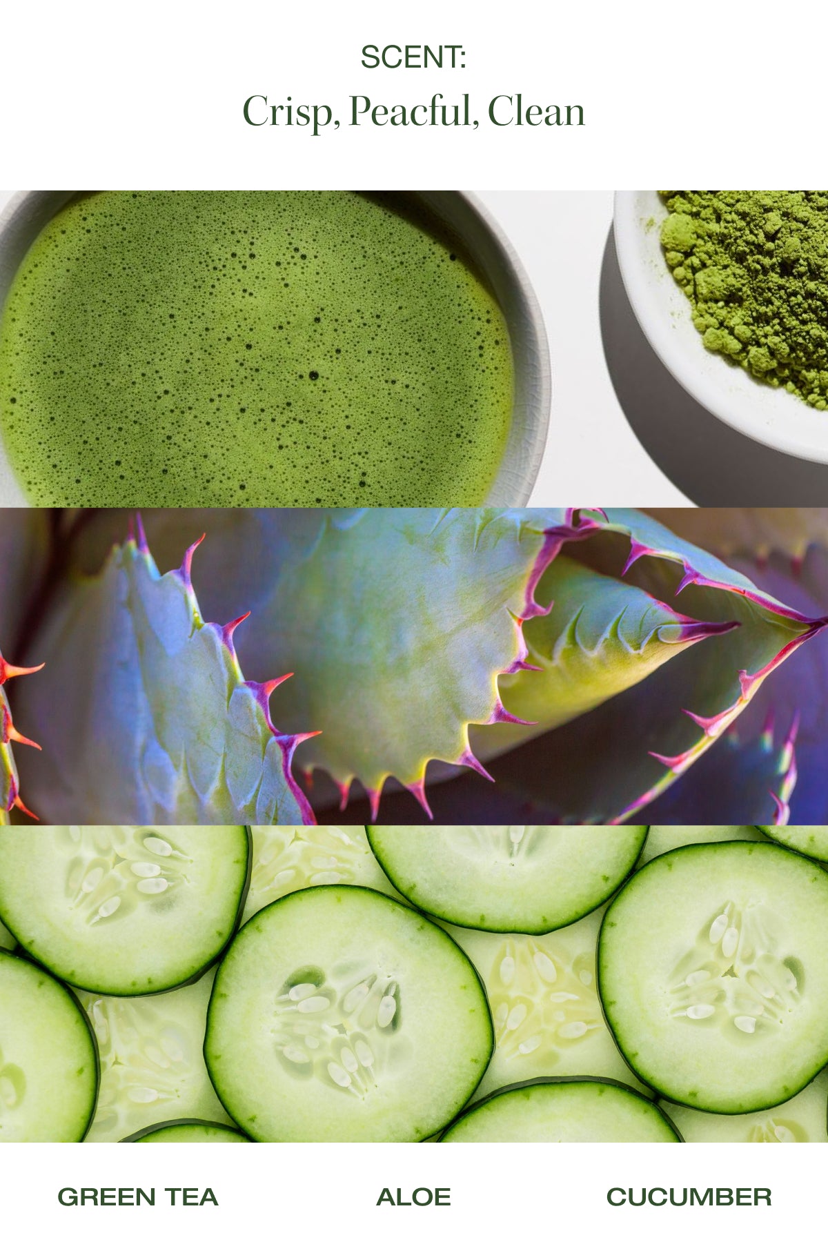 green tea aloe cucumber