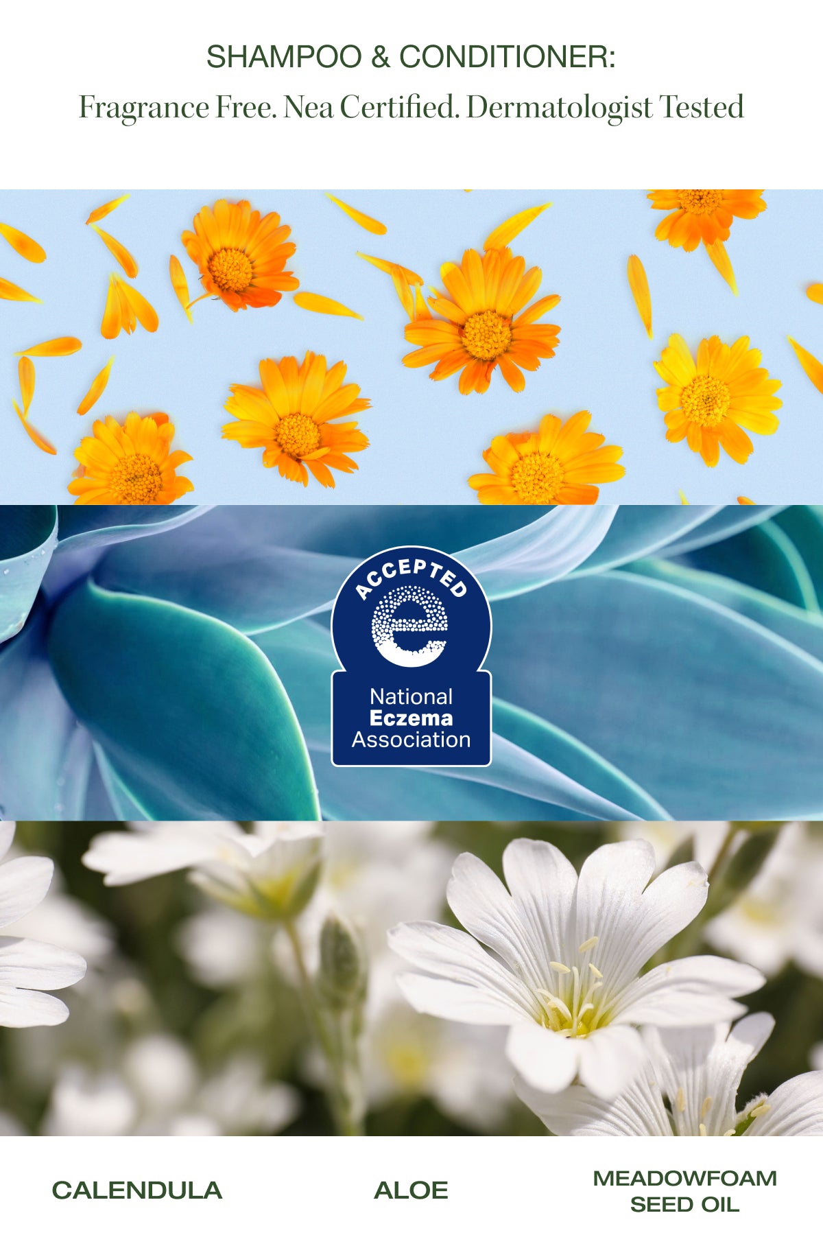 national eczema association approved