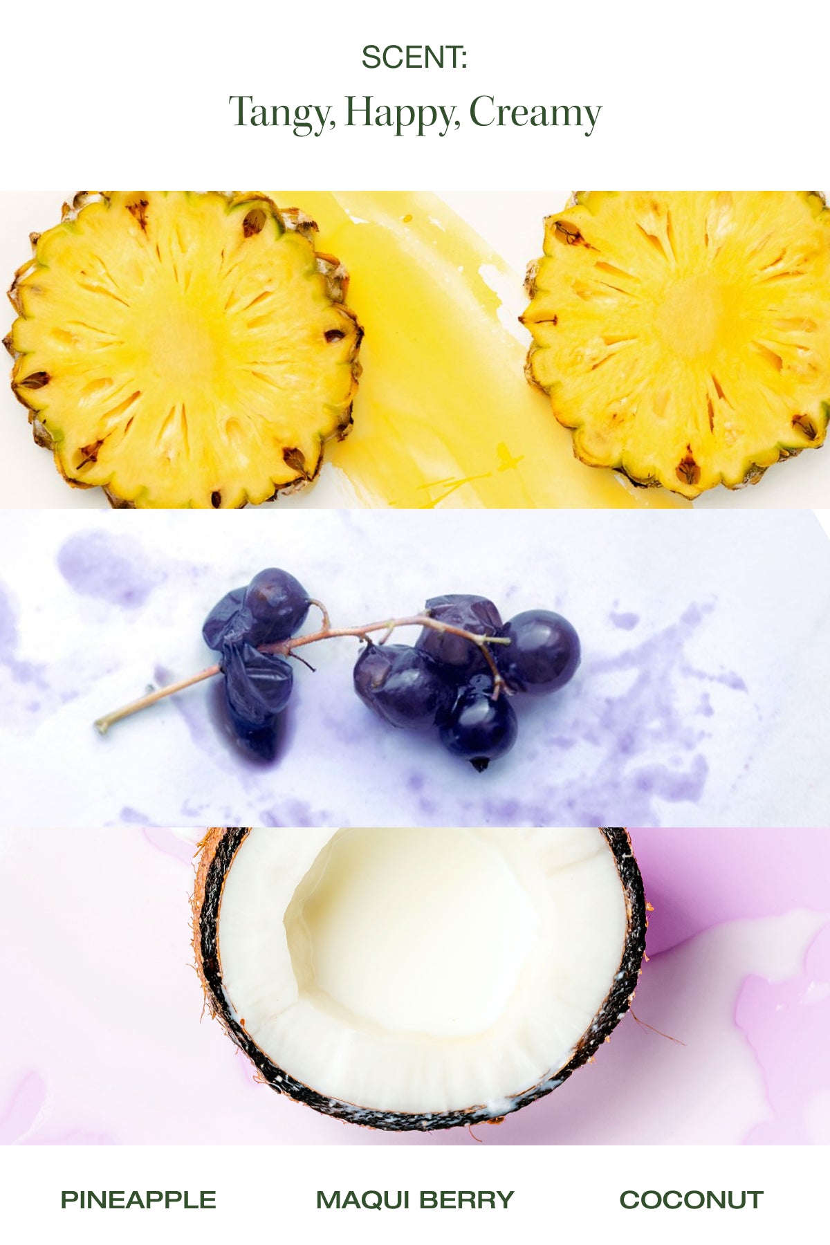 pineapple maqui berry and coconut