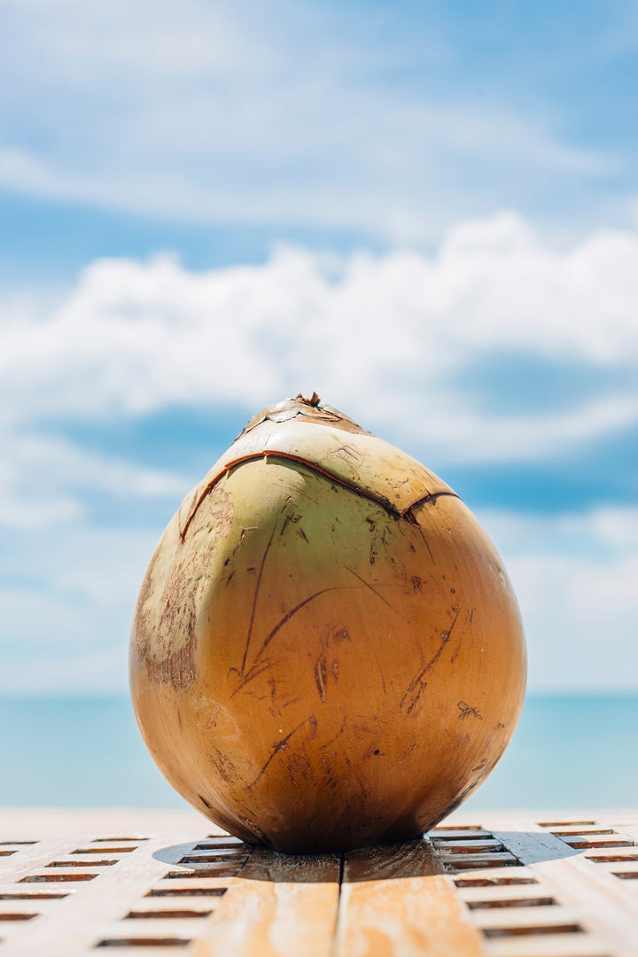 coconut in front of blue sky