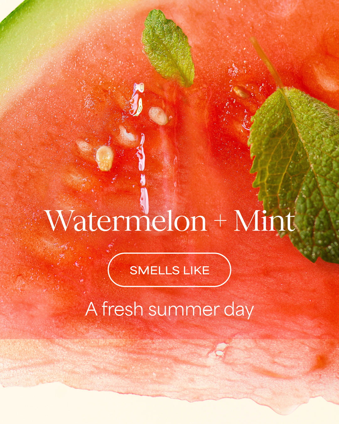 A close-up watercolor-style graphic of a watermelon slice with mint leaves and overlaid text reading 'Watermelon + Mint', 'SMELLS LIKE', and 'A fresh summer day'.