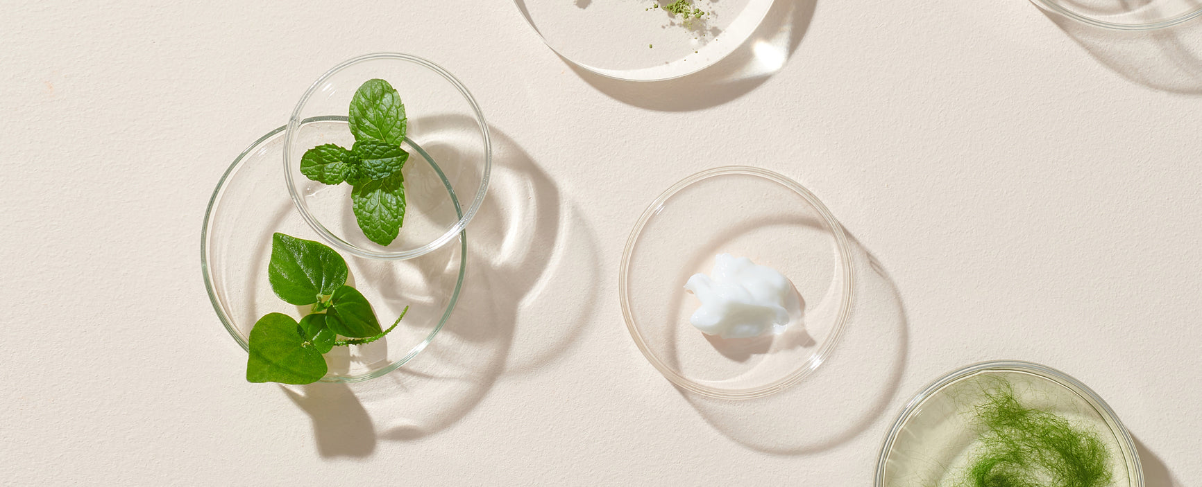 How to Read Hair Care Ingredient Lists & Avoid Damaging Ingredients