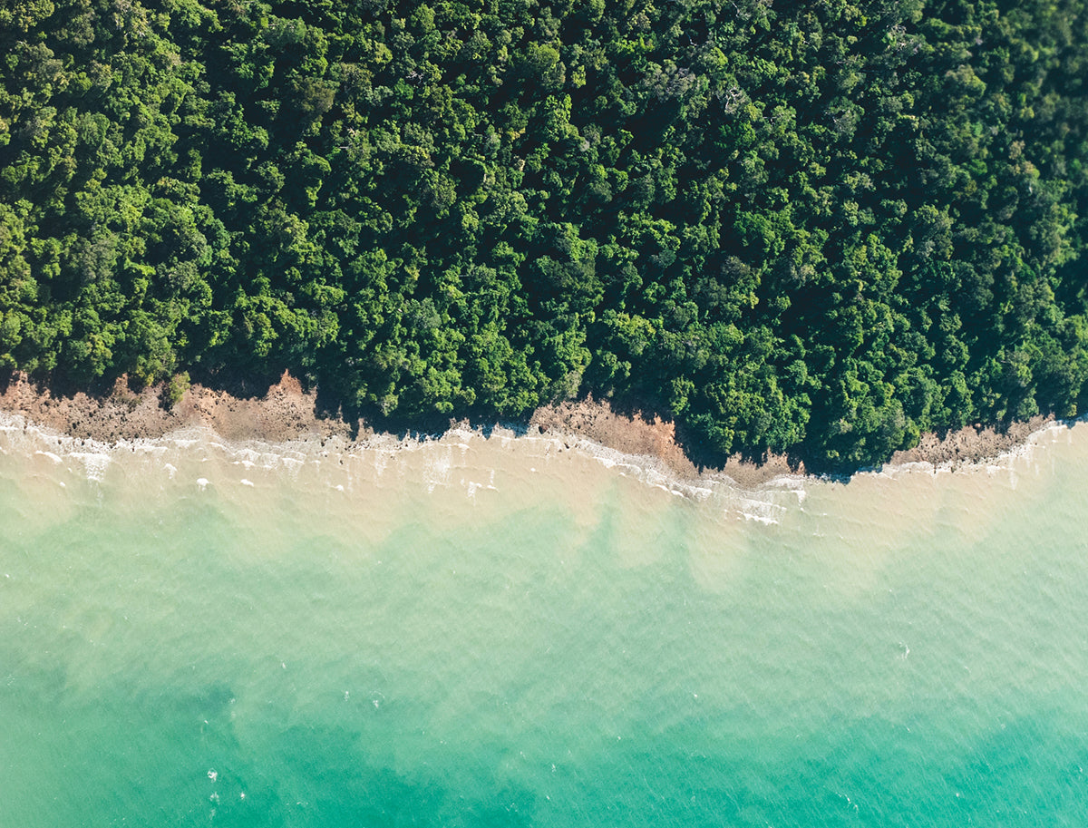 Beautiful beach with trees from up top