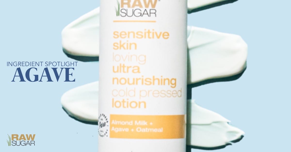 Ingredient Spotlight: Agave
