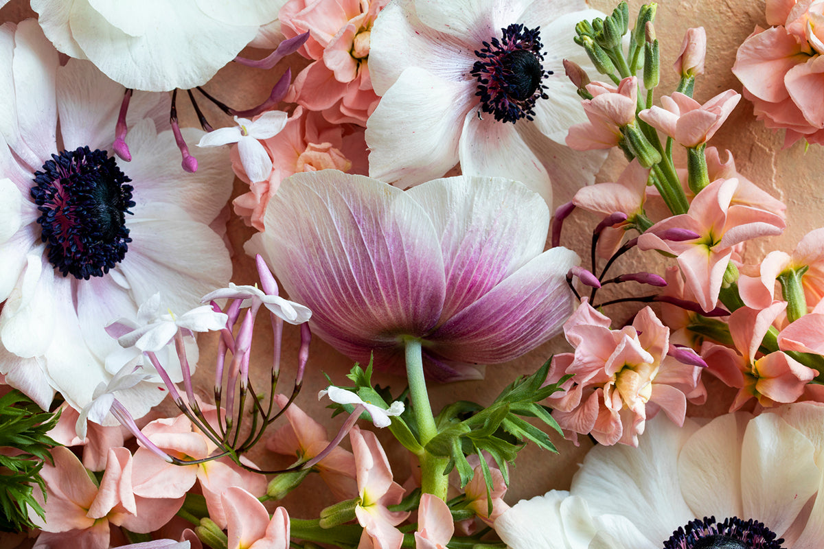 Variety of spring flowers placed closely together laying down
