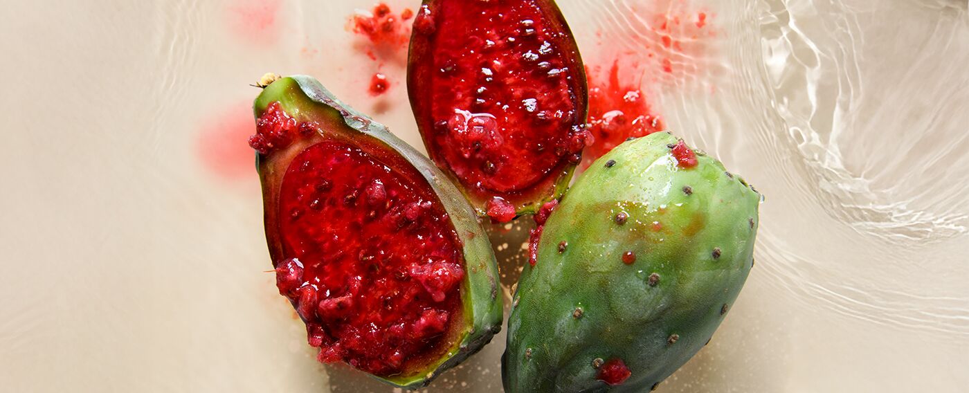 prickly pear color renew how to make hair color last longer