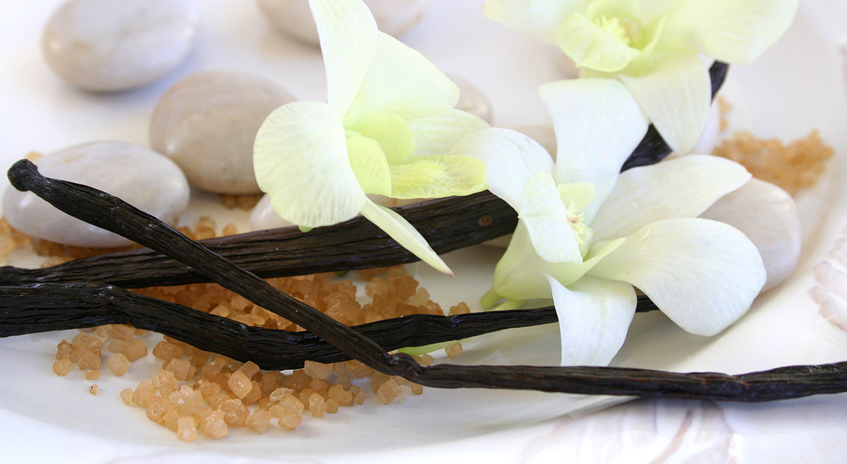vanilla bean with flower and sugar crystals