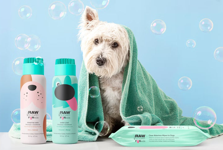 Westie Dog in towel with Raw Sugar Fur Kids products and bubbles