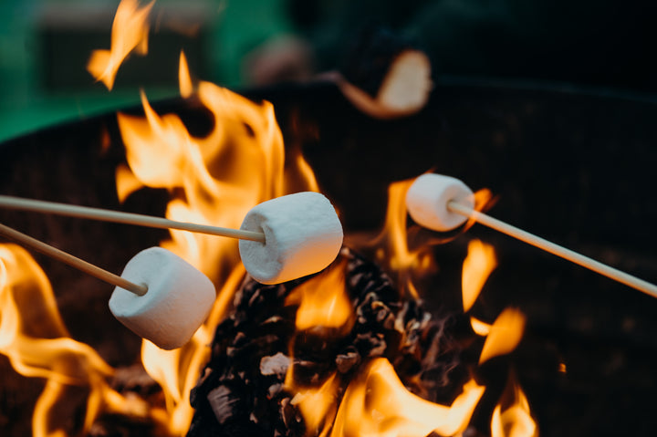 marshmallows on stick on top of a fire