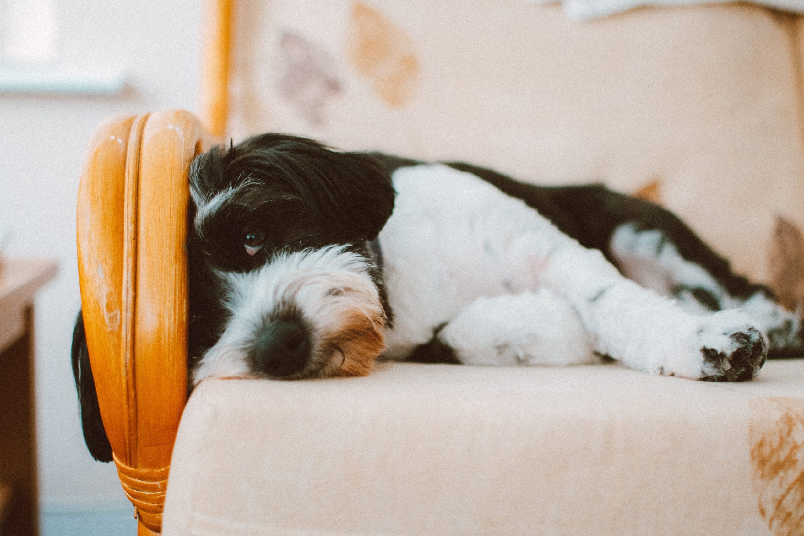 The Need for Good Sleep