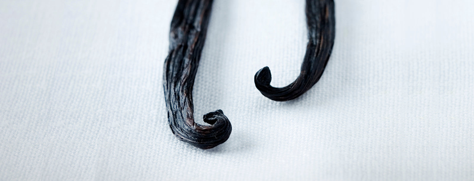 Vanilla