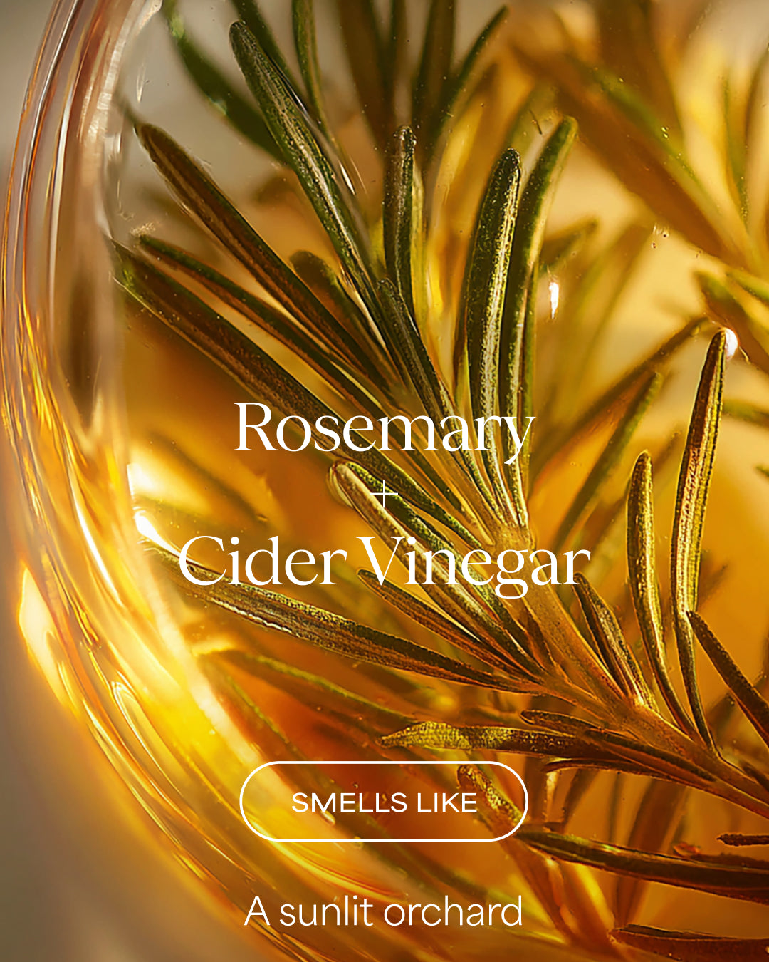 A close-up of rosemary sprigs submerged in amber liquid inside a glass container, with overlaid text reading 'Rosemary + Cider Vinegar' and 'SMELLS LIKE A sunlit orchard'.