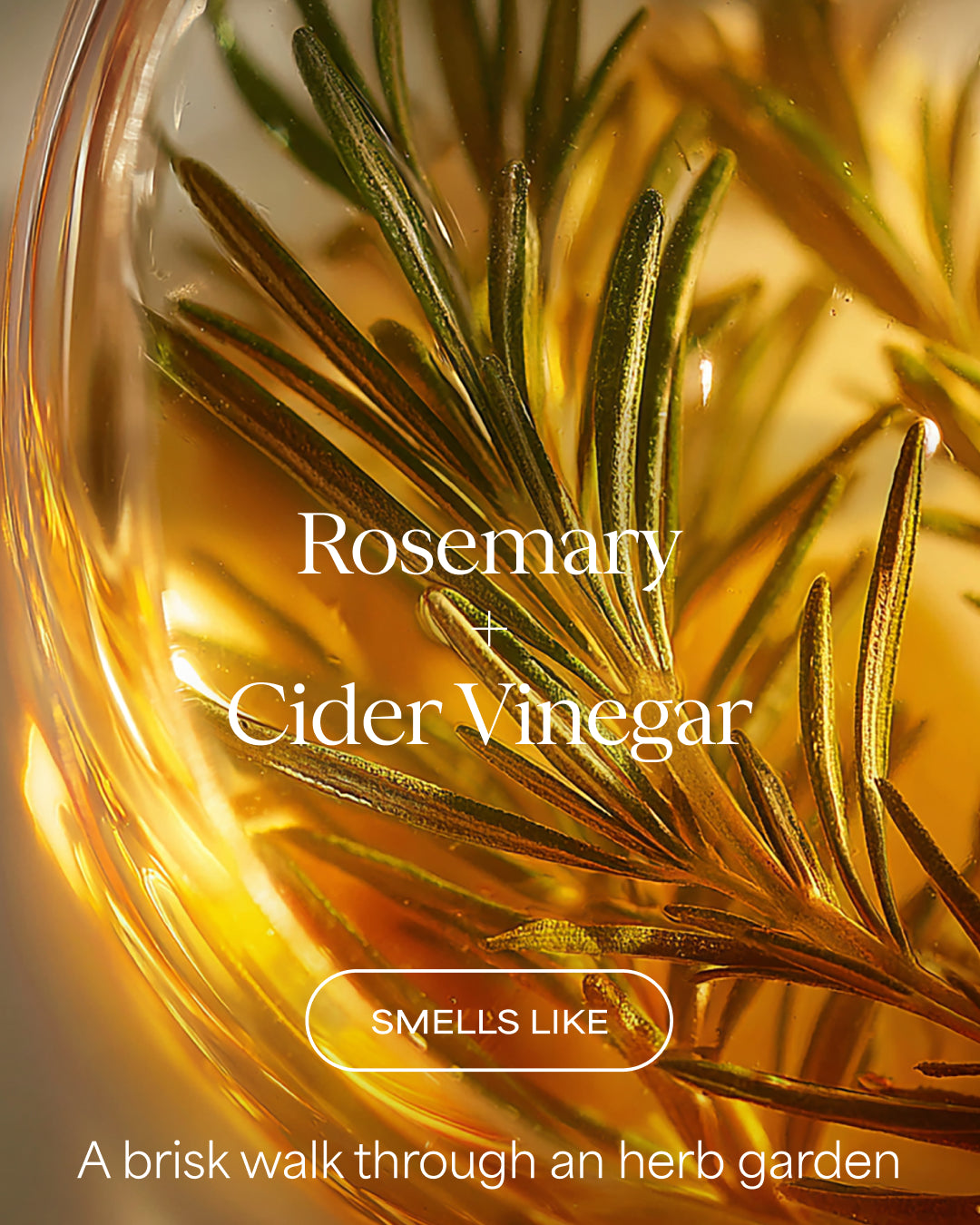 Rosemary and cider vinegar with text describing its fragrance.