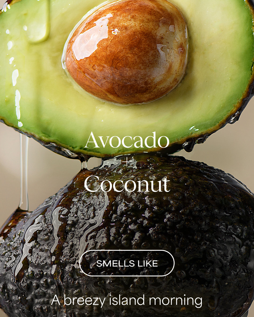 Close-up of an avocado with a coconut, text 'Avocado + Coconut smells like a breezy island morning' on a beige background.