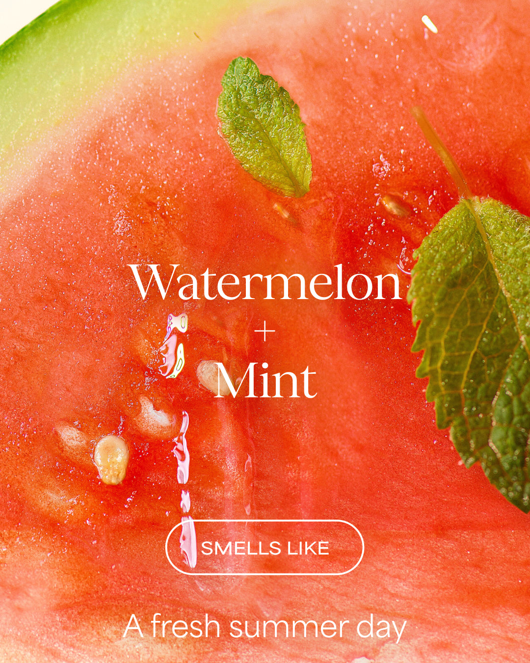 Close-up of watermelon with mint leaves and text 'Watermelon + Mint smells like a fresh summer day'.