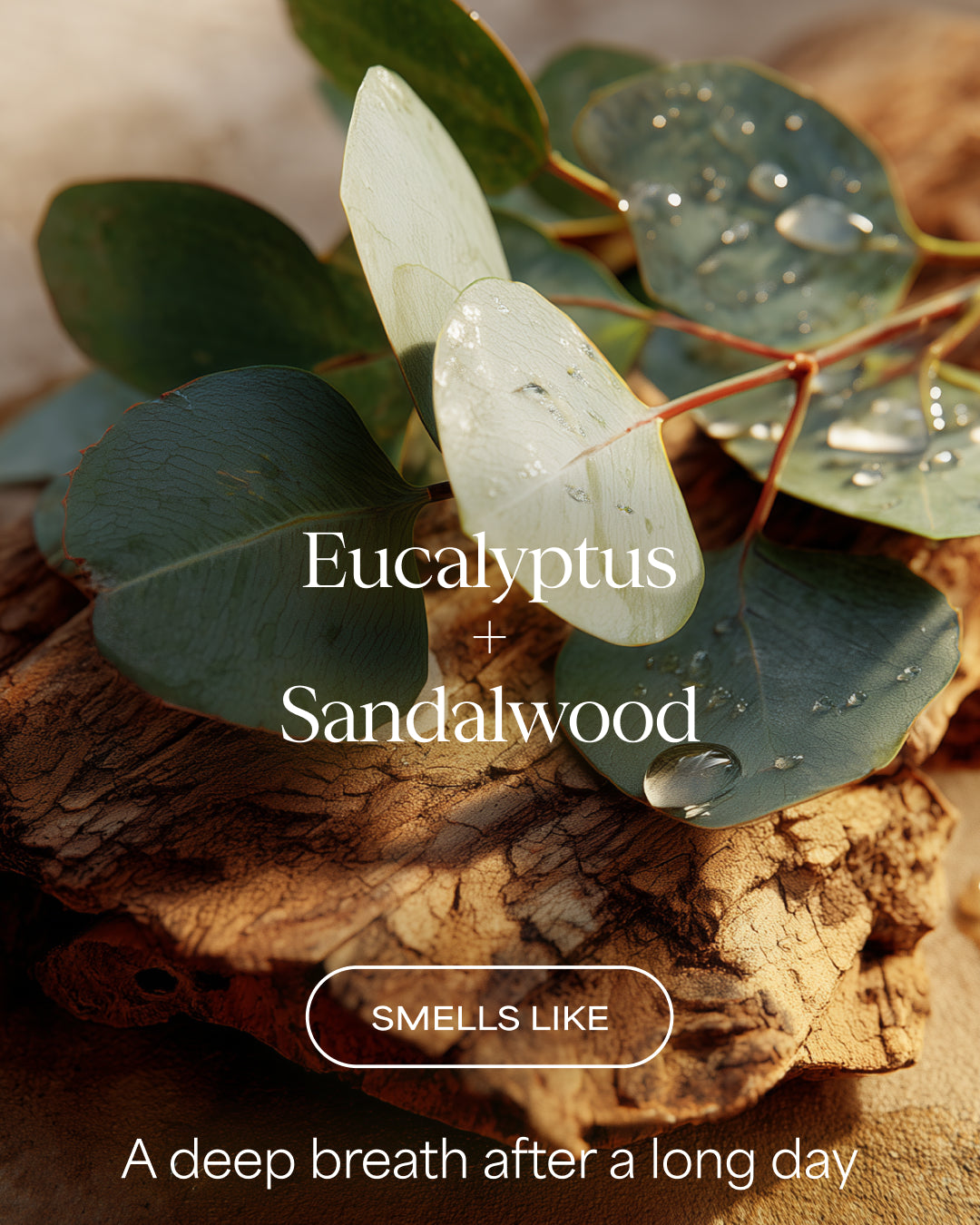 Eucalyptus and sandalwood scent profile graphic featuring fresh green eucalyptus leaves with water droplets resting on a piece of natural wood bark. White text reads 'Eucalyptus + Sandalwood' and 'SMELLS LIKE' with 'A deep breath after a long day' at the bottom.