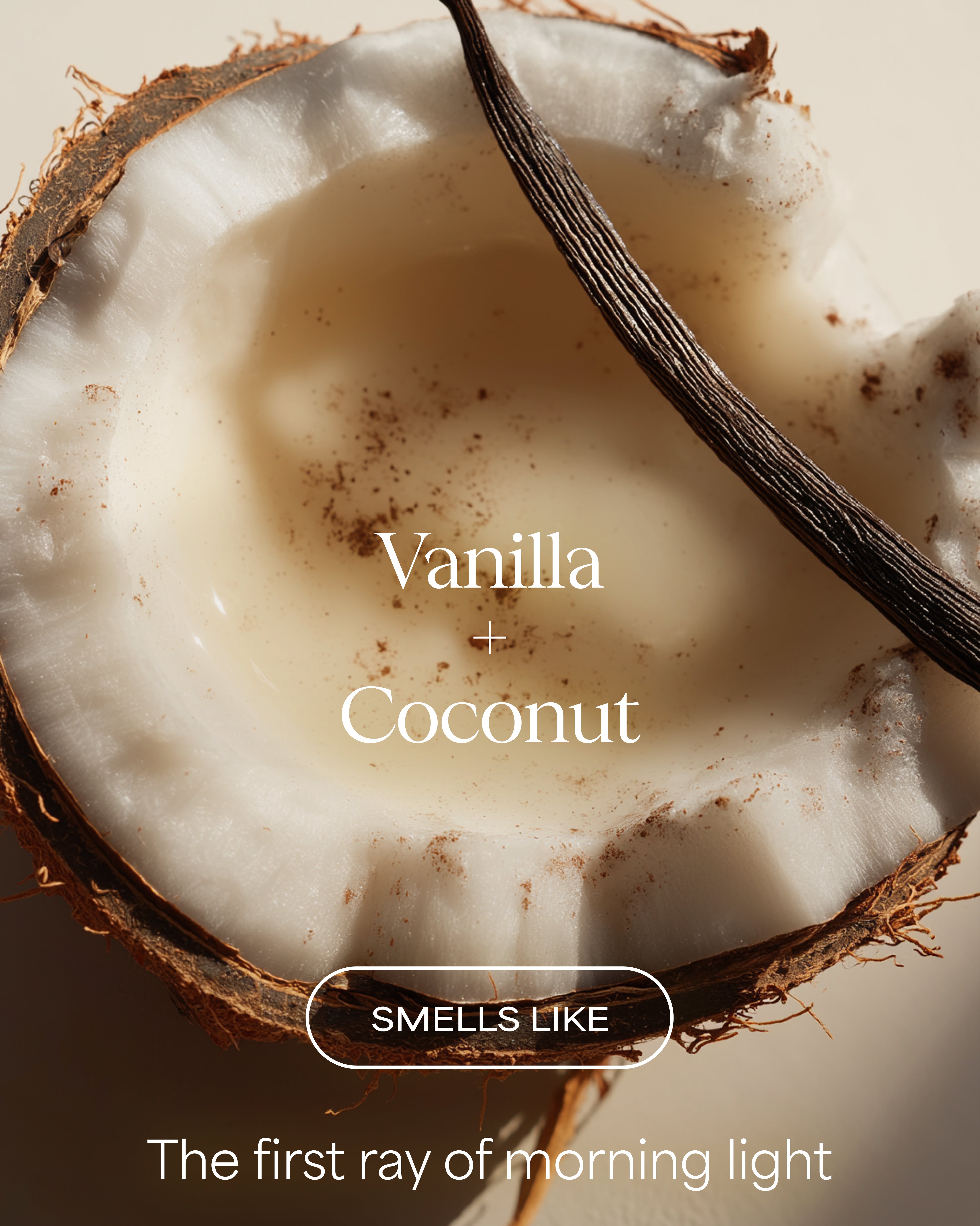Close-up of a halved coconut with a vanilla bean, labeled 'Vanilla + Coconut' and 'Smells Like The First Ray of Morning Light'.