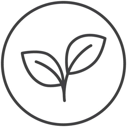 plant derived icon