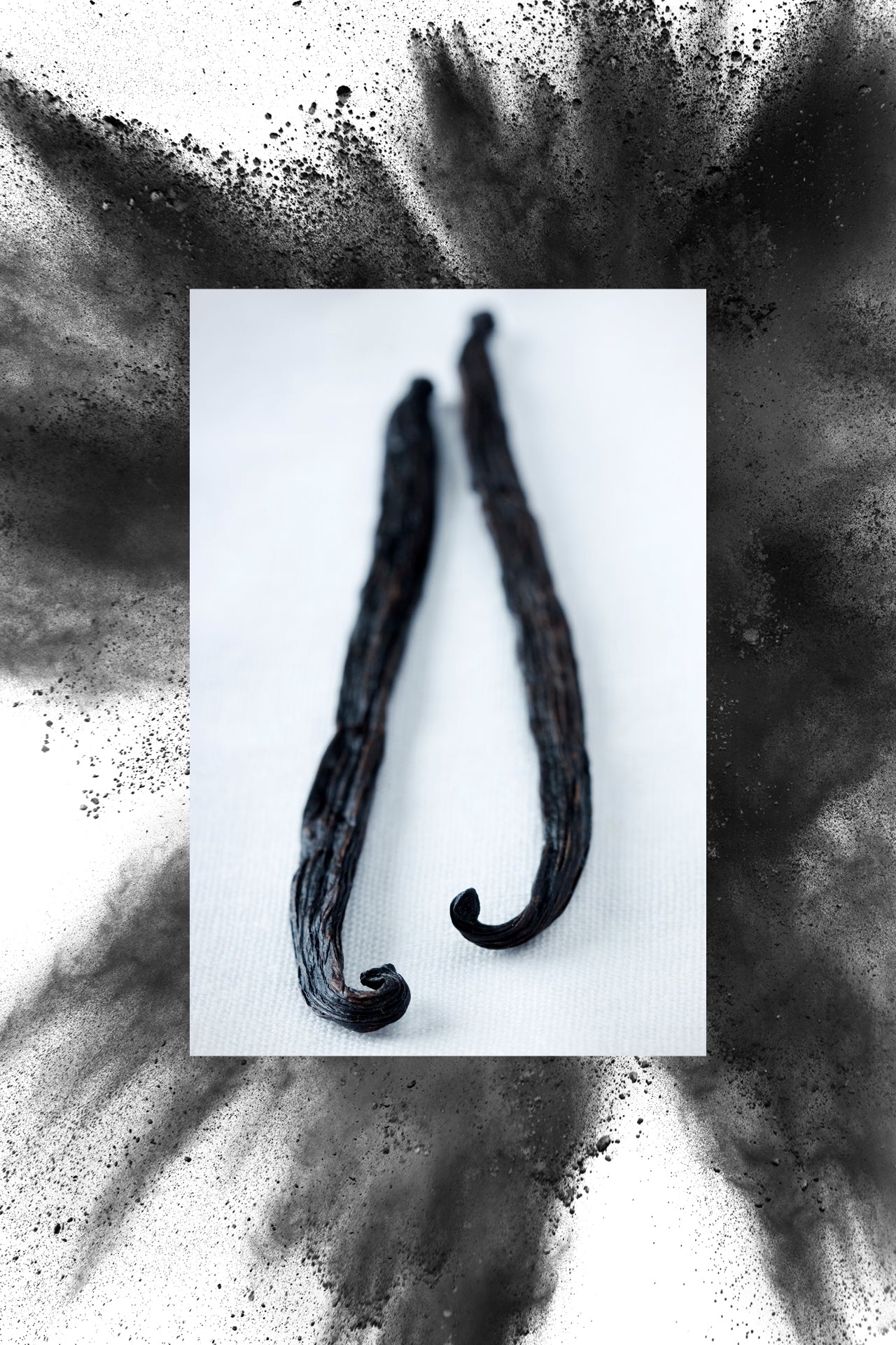 vanilla bean pods in front of charcoal powder for 