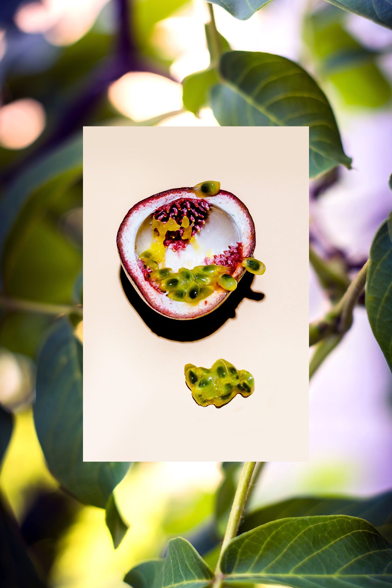 ingredient passion fruit and marula