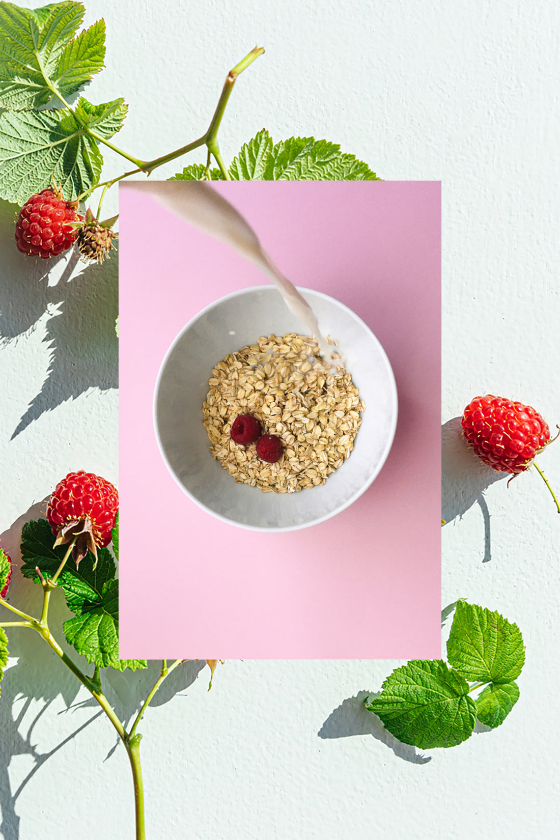 ingredient oat and raspberry