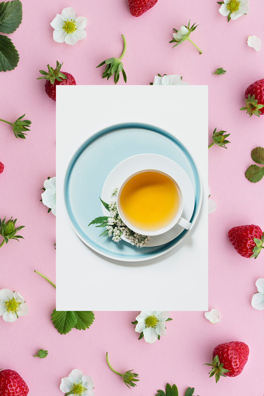 strawberry white tea ingredient