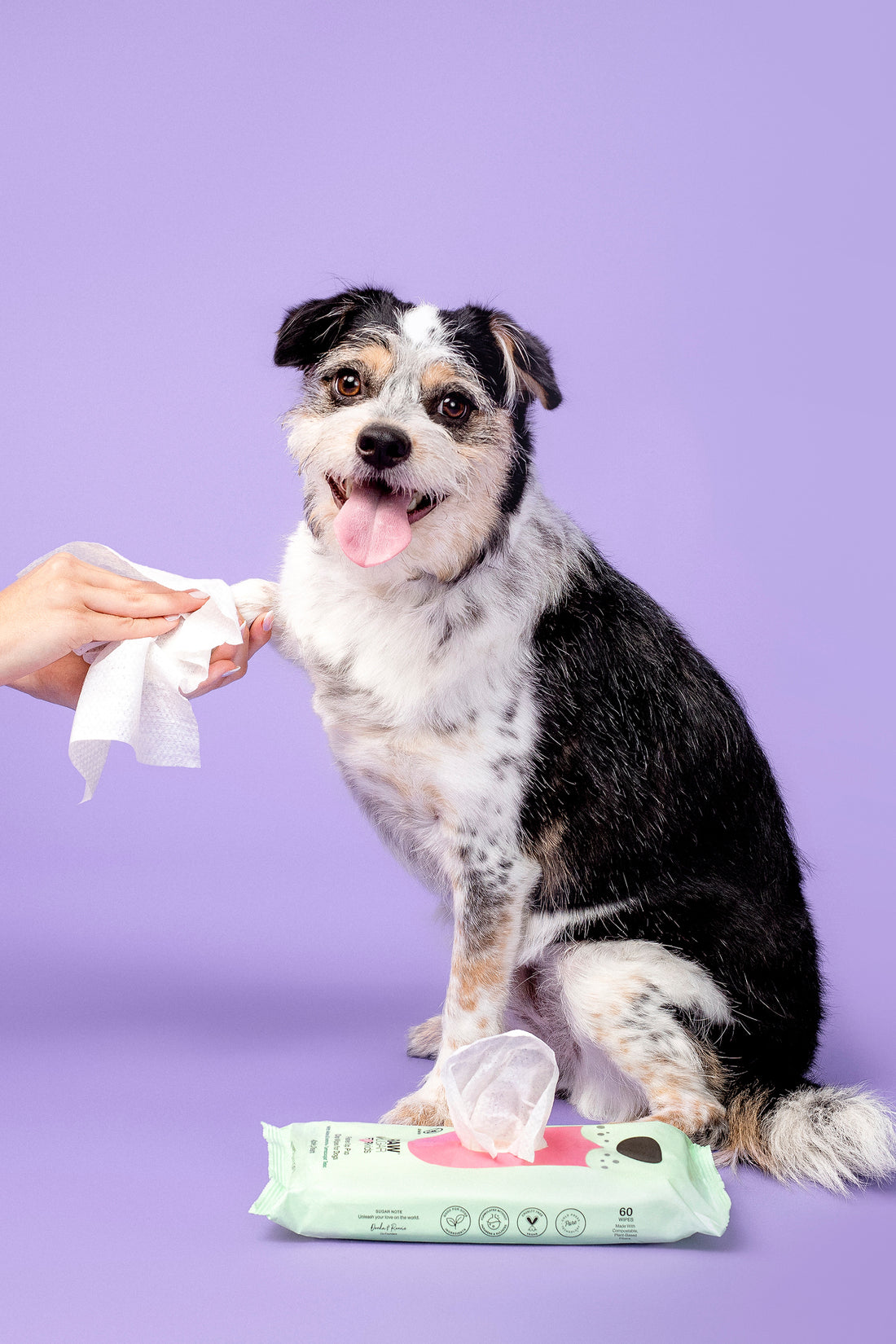 person holding puppy paw with clean pet wipe