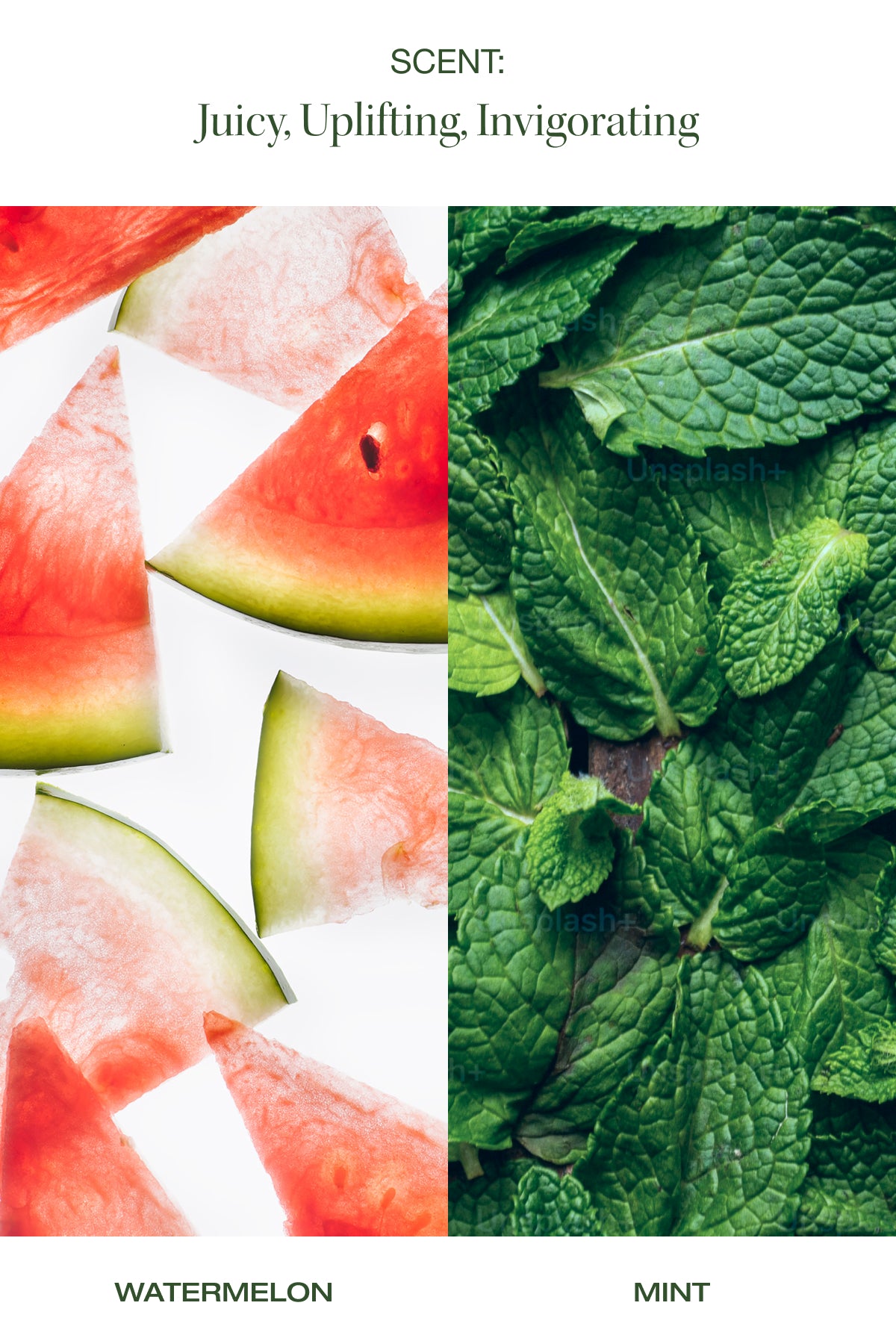 watermelon and mint