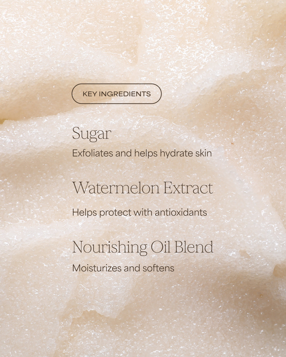 A close-up ingredient graphic with a pale cream textured background and text reading 'KEY INGREDIENTS,' 'Sugar,' 'Watermelon Extract,' and 'Nourishing Oil Blend' with brief benefit descriptions.