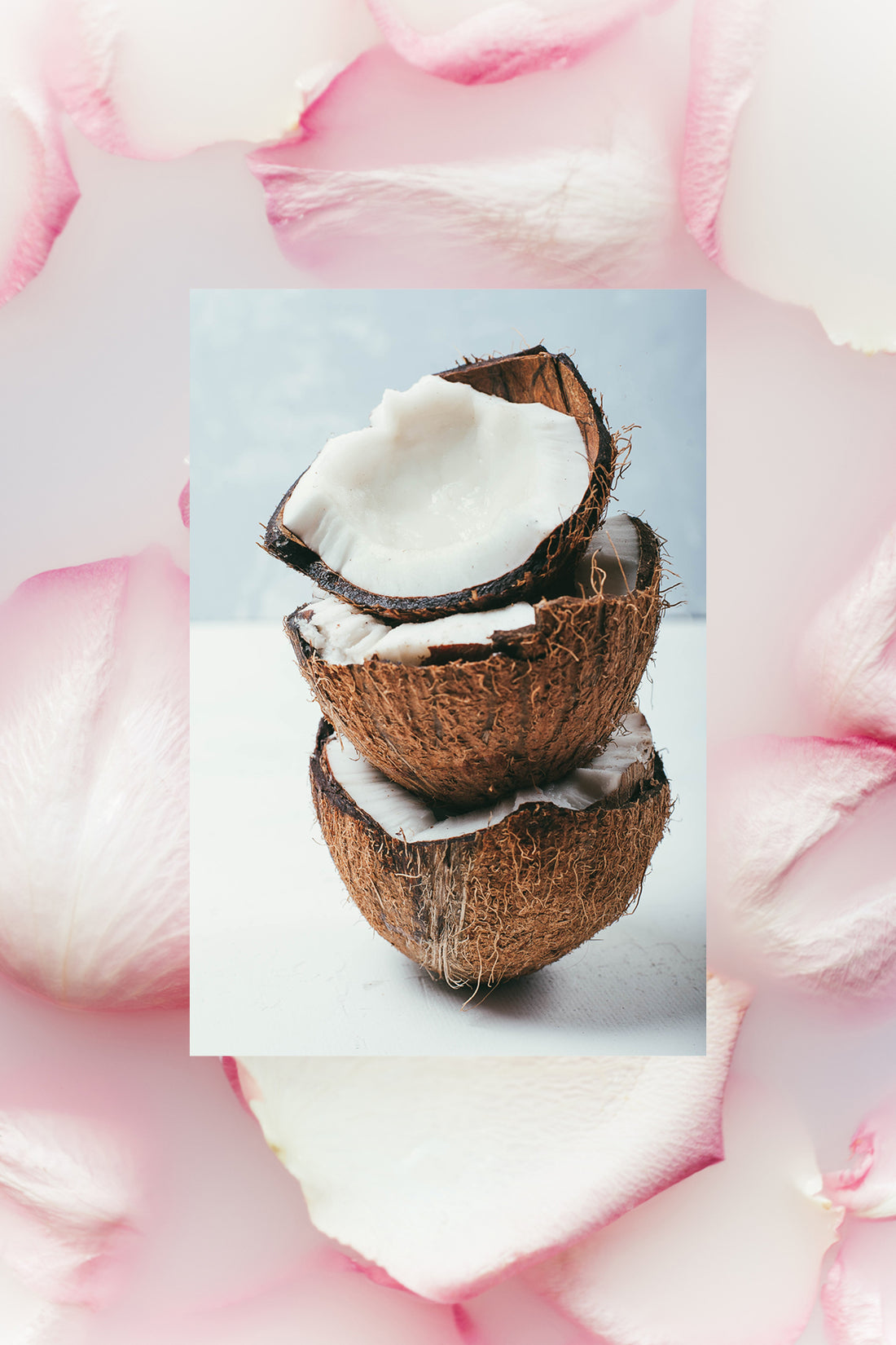 Coconut Passion And Coconut Milk & Rose
