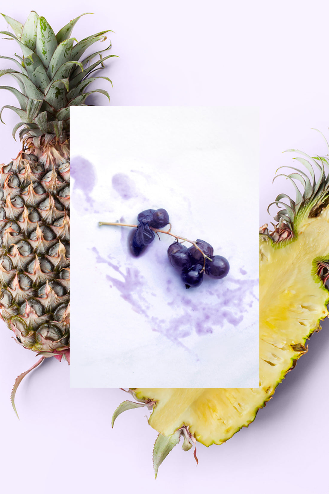 Fresh blueberries on the stem with fresh pineapples
