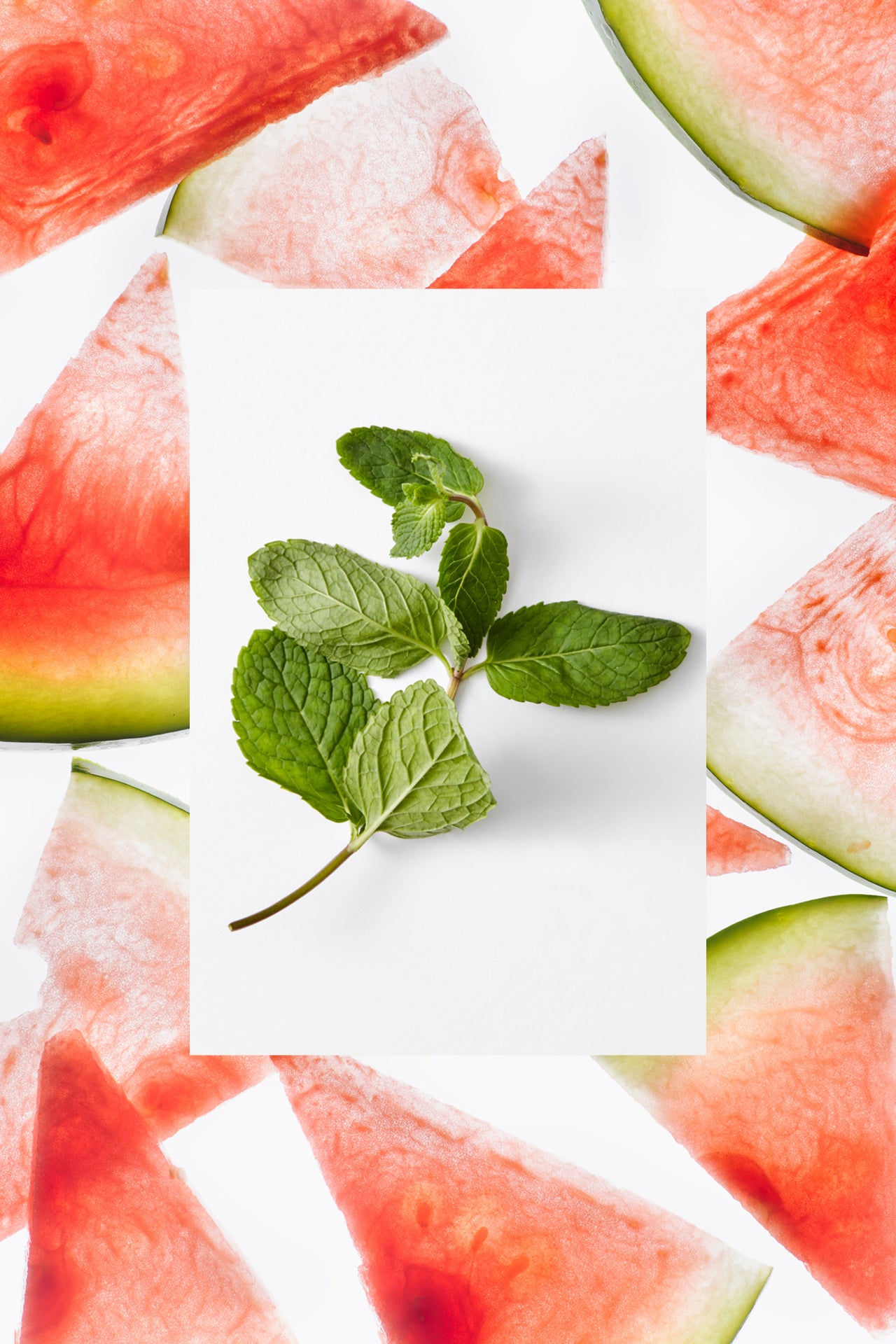  Fresh mint leaves with stem and fresh watermelon triangle slices