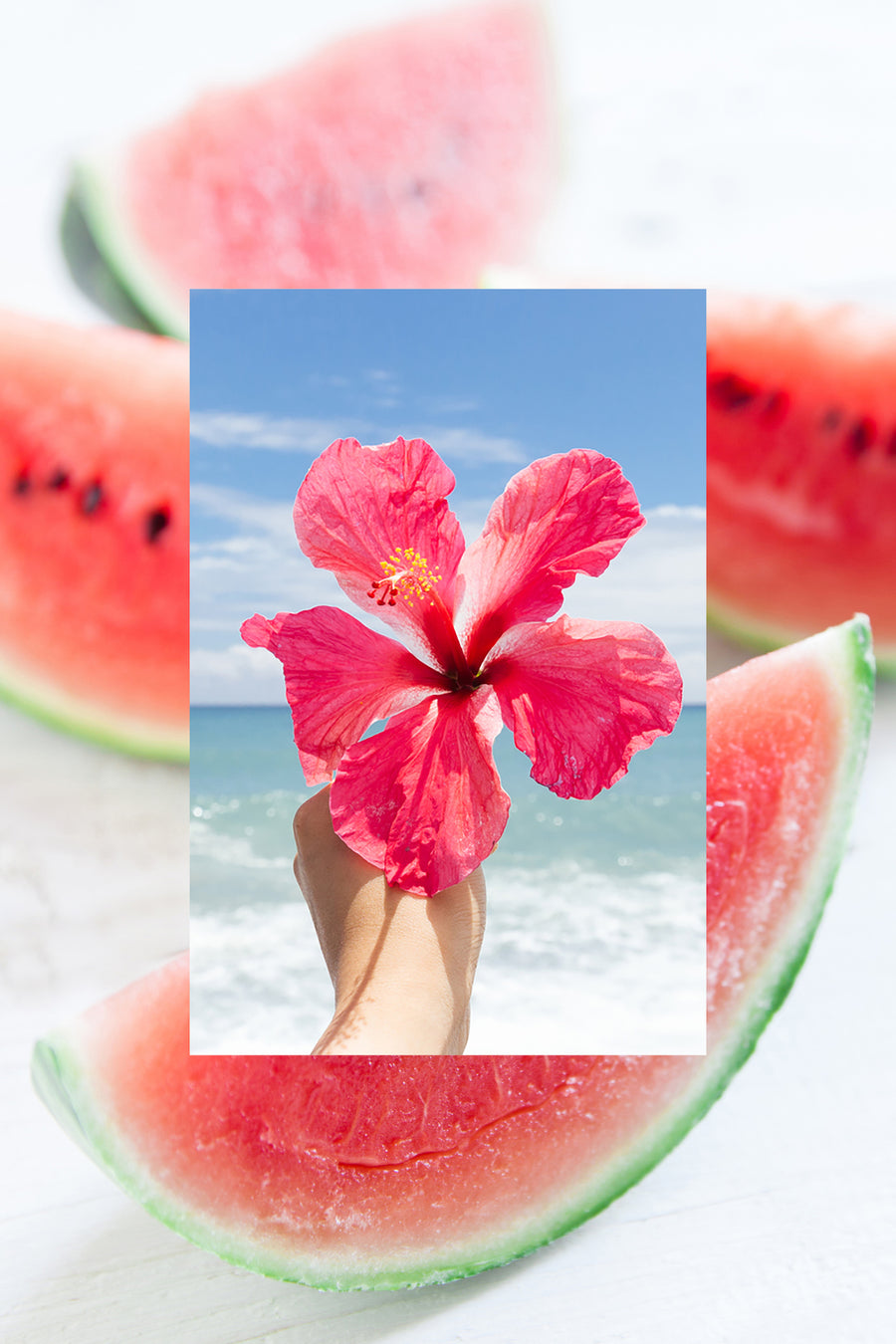 hand holding Hibiscus flower with fresh watermelon slices in background